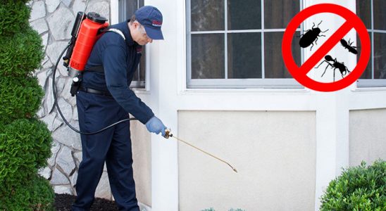 Çeşme Bit İlaçlama böcek ilaçlama ve haşere kontrolü — ilaclama-tr.com